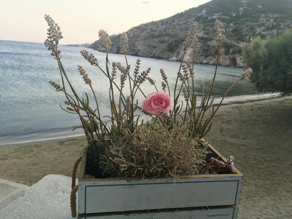 Apanemo Holiday home